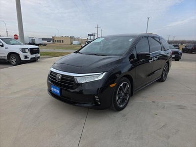 2024 Honda Odyssey Elite